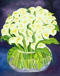 Calla-Lilien